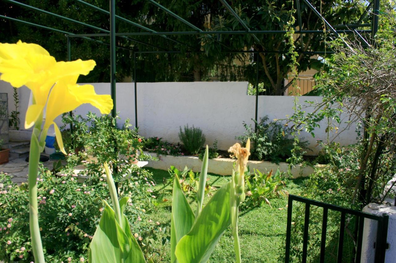Fotini'S House Apartment Ipsos Bagian luar foto